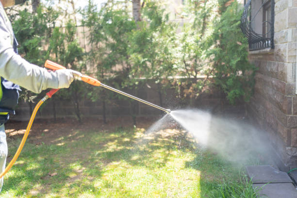 Best Bee and Wasp Removal  in Greenville, IN